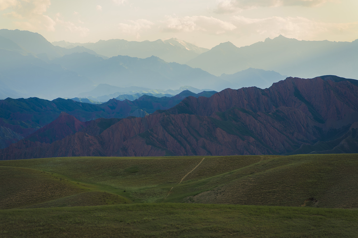 _DSC9992.JPG