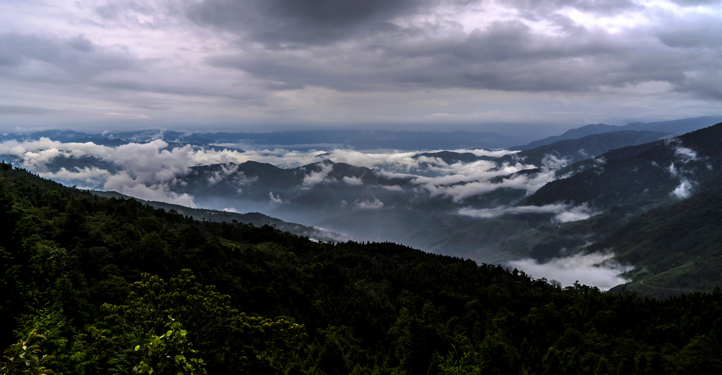 _DSC0875.jpg