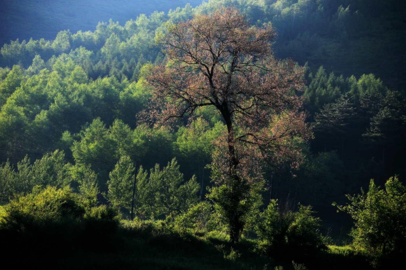 A87V9669_.jpg