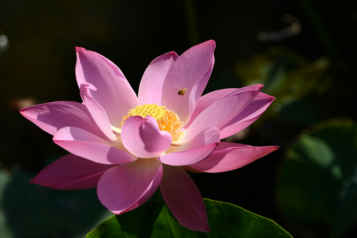 nEO_IMG_DSC_4191.jpg