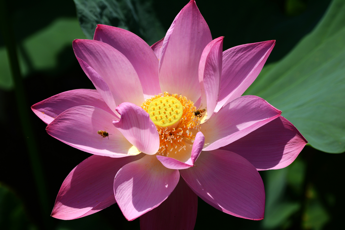 nEO_IMG_DSC_4197.jpg
