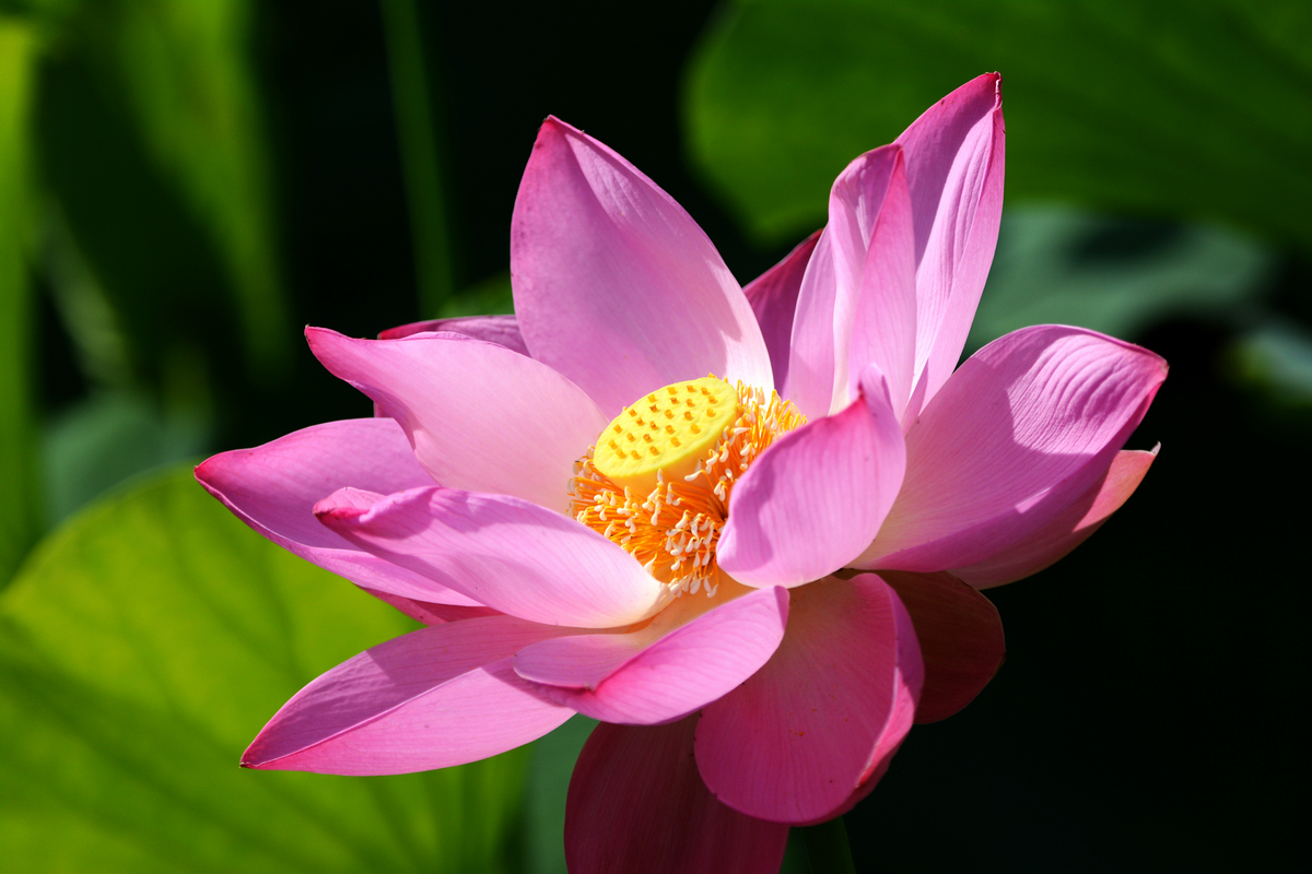 nEO_IMG_DSC_4319.jpg