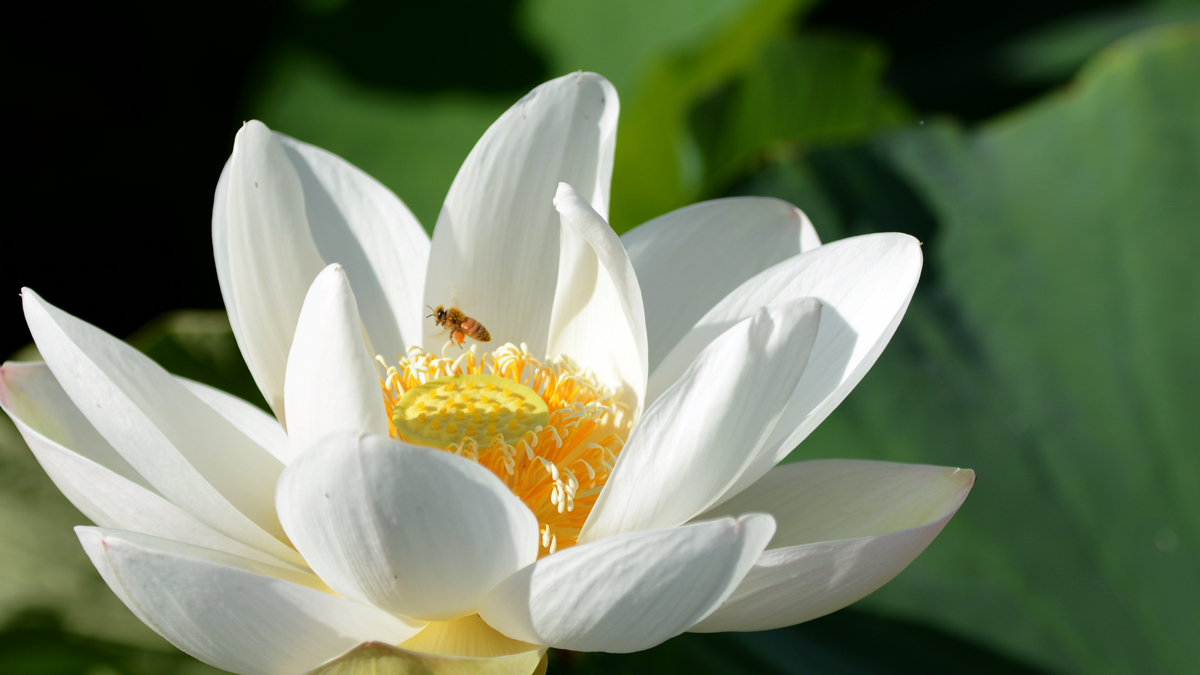 nEO_IMG_DSC_4300.jpg