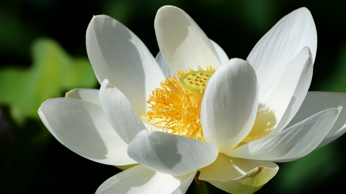 nEO_IMG_DSC_4355.jpg