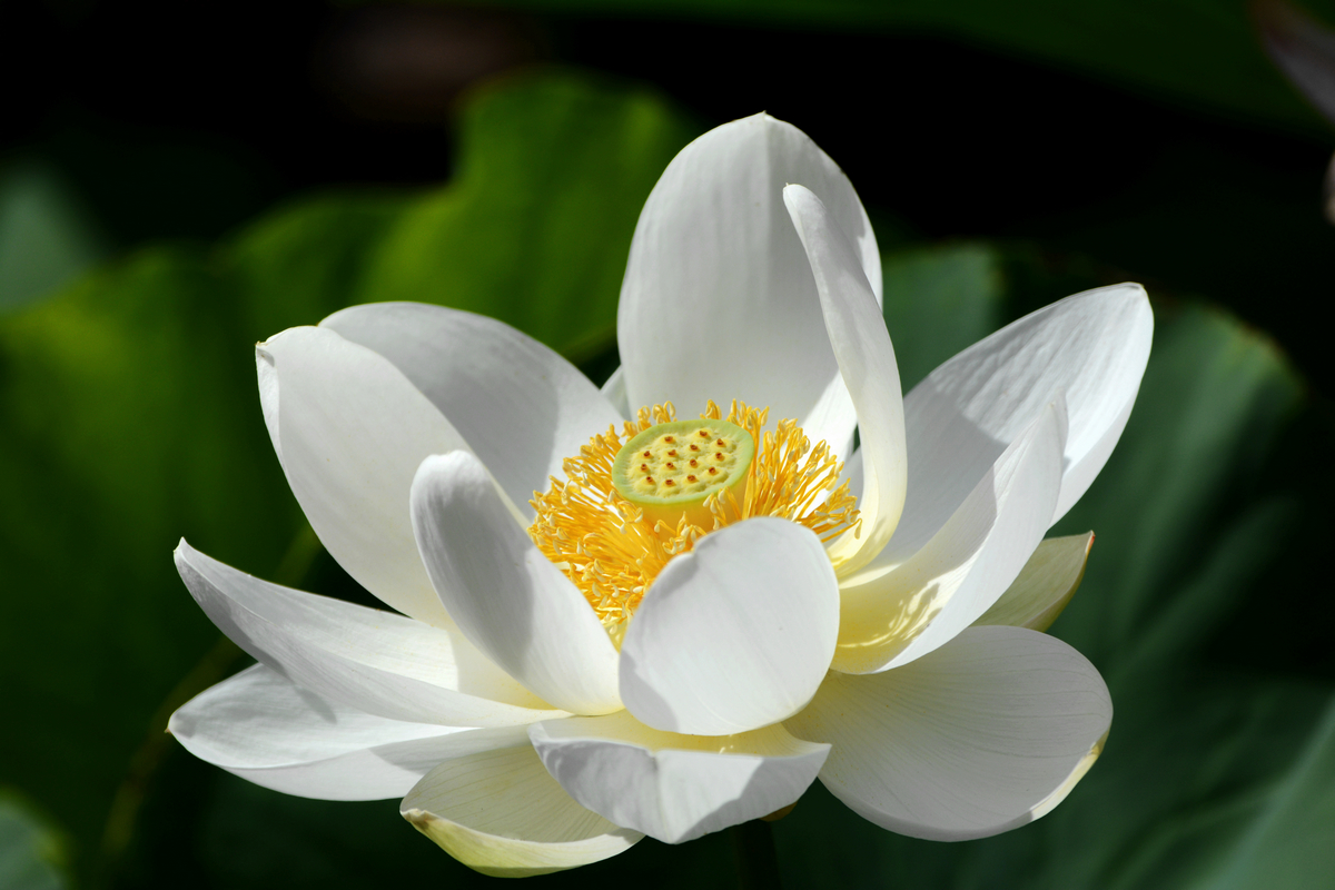nEO_IMG_DSC_4370.jpg