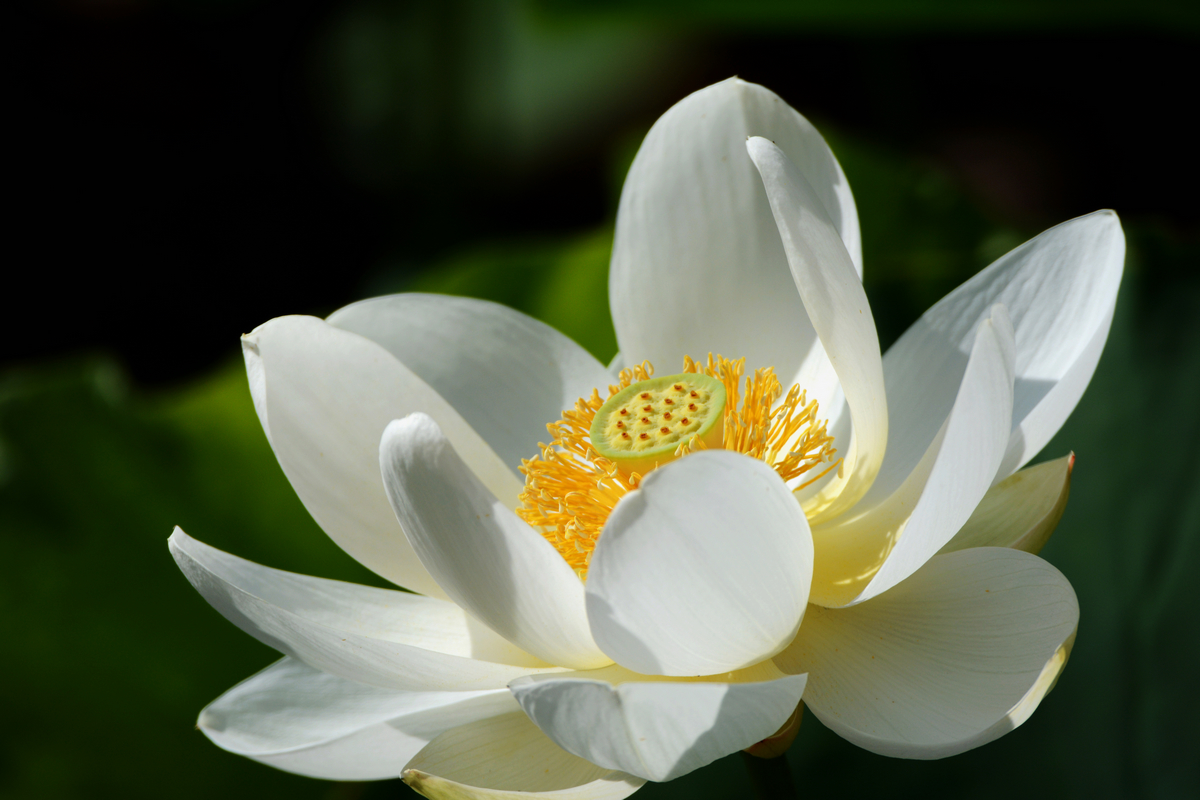 nEO_IMG_DSC_4360.jpg