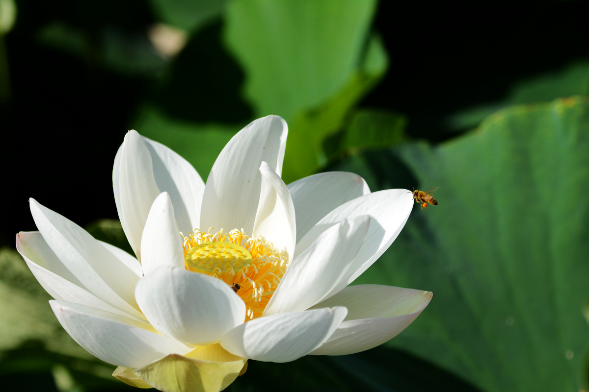 nEO_IMG_DSC_4303.jpg