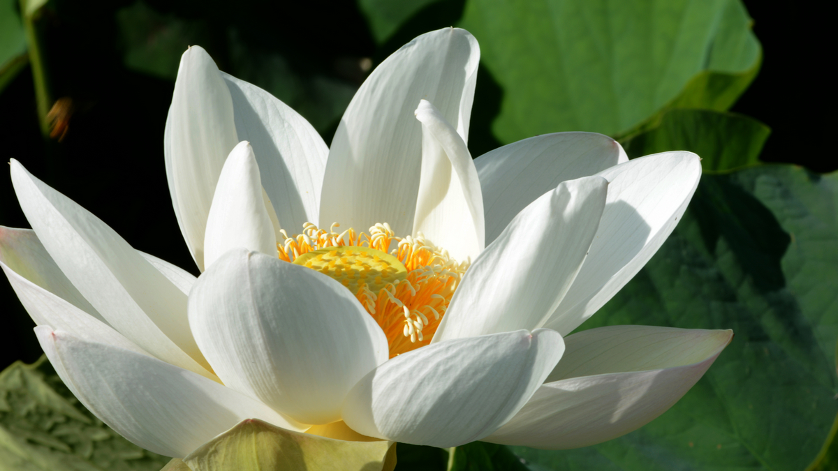 nEO_IMG_DSC_4292.jpg