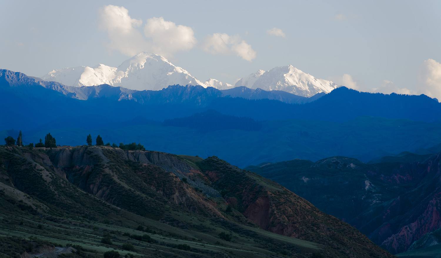 _DSC0010_1.JPG