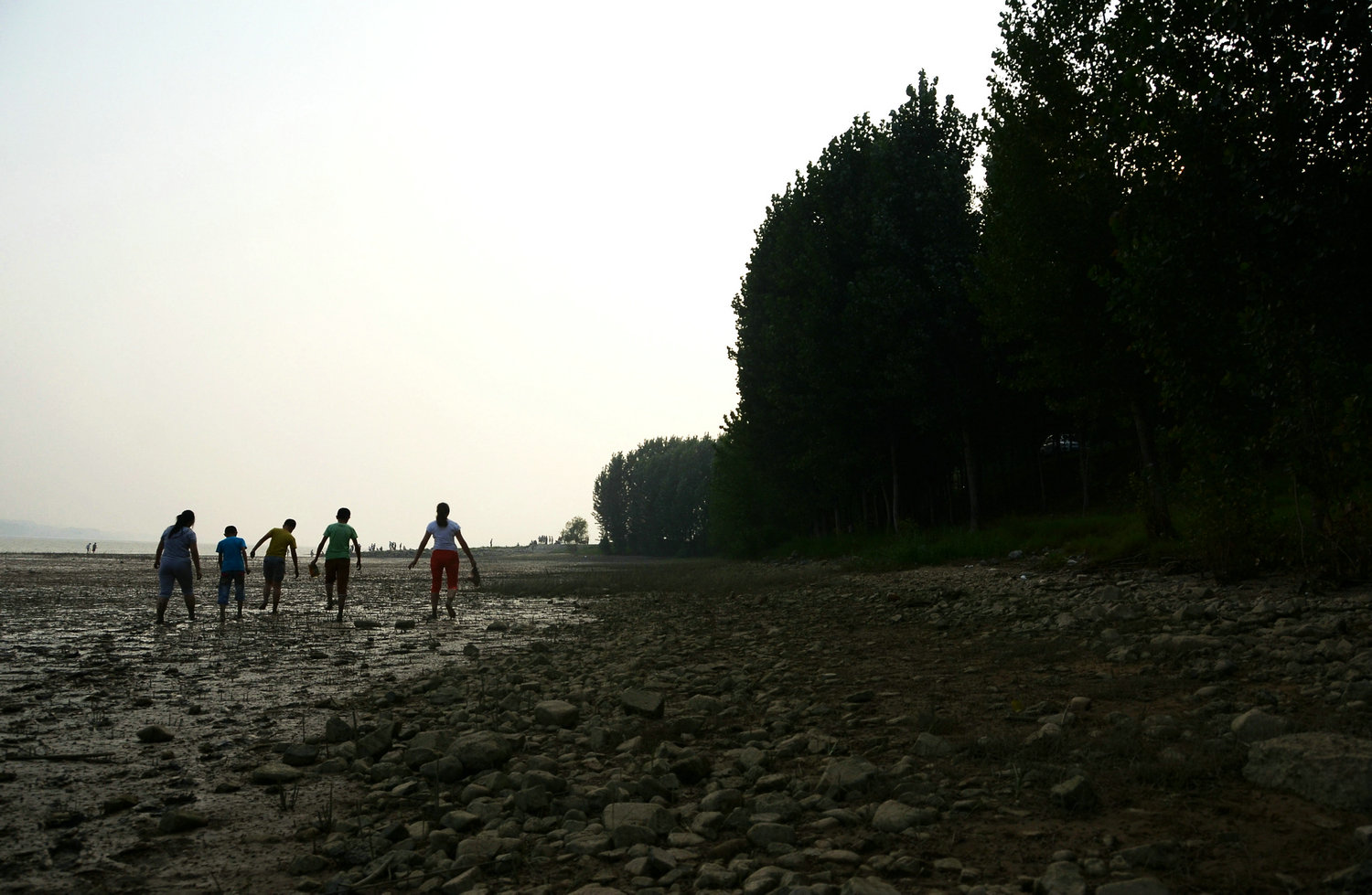 DSC_6088.jpg