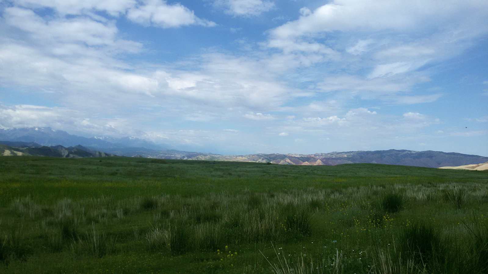 20150606_120523_.jpg