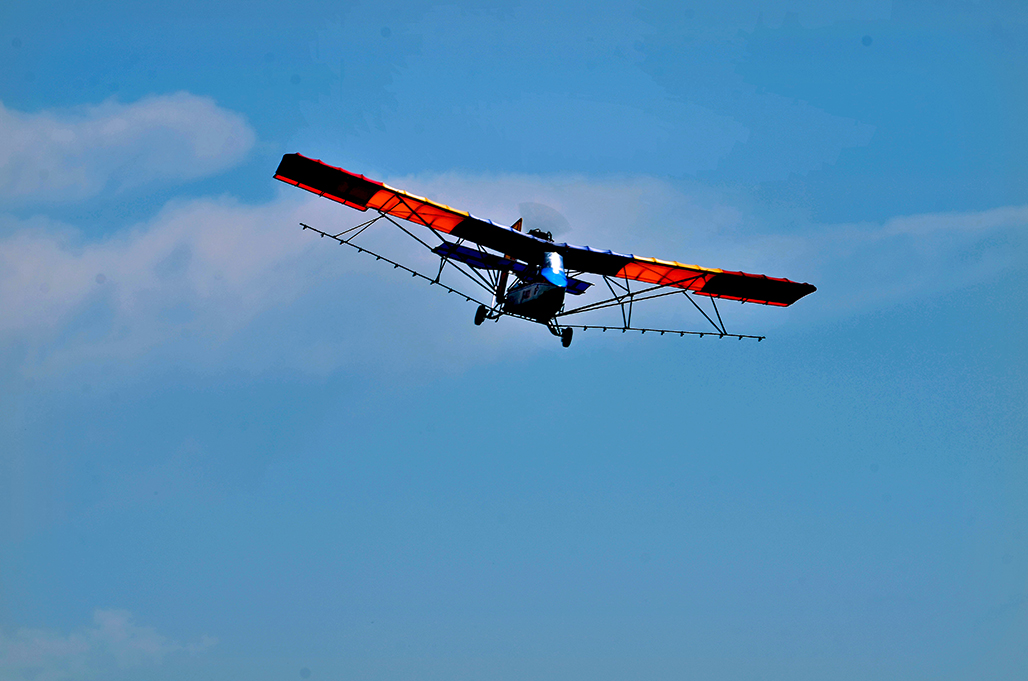 DSC_8320-1.jpg