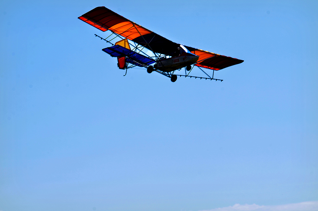 DSC_8322-1.jpg