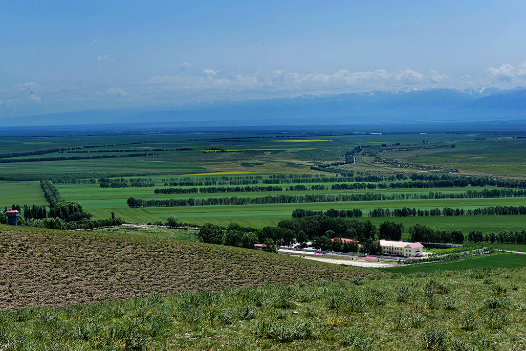 DSC_3732-1.jpg