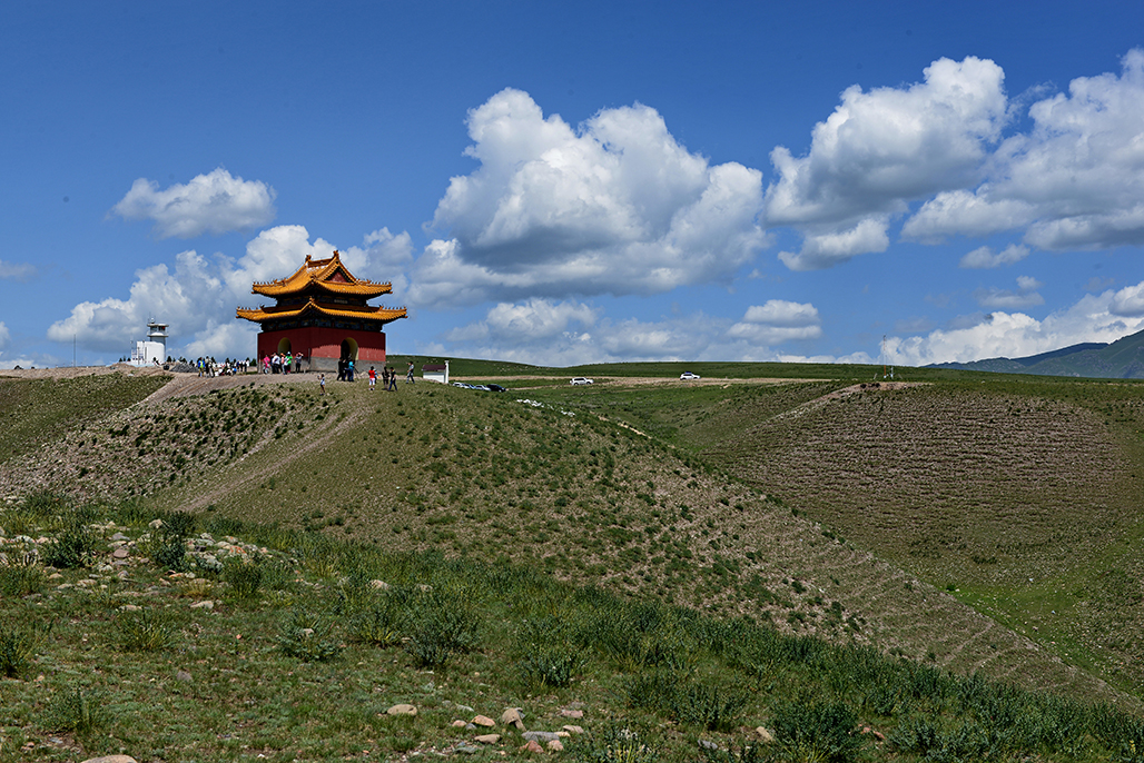 DSC_3736-1.jpg