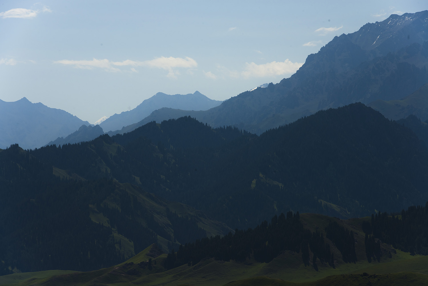 _DSC0553.JPG