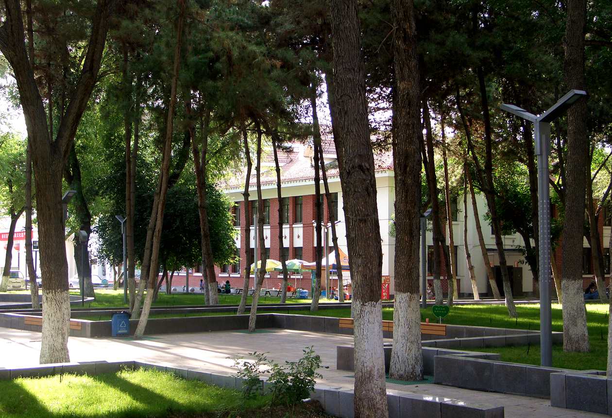 CIMG1615_.jpg