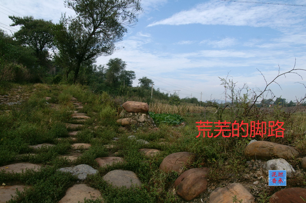 PICT4200.JPG