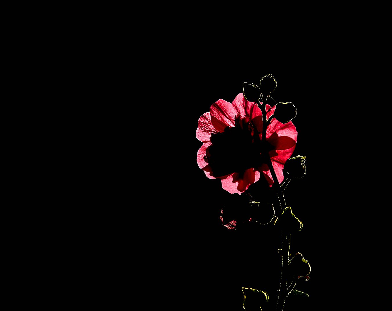A_7797.jpg