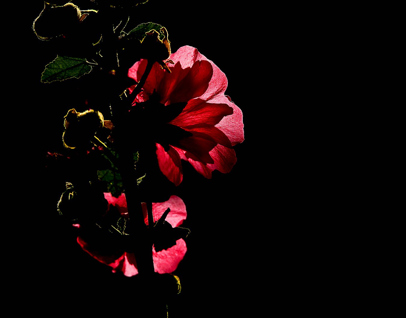 A7800.jpg