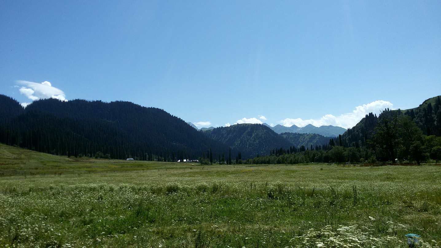 20150716_155255_.jpg