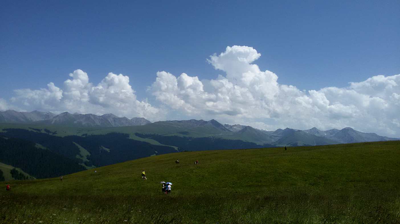 20150717_162918_.jpg
