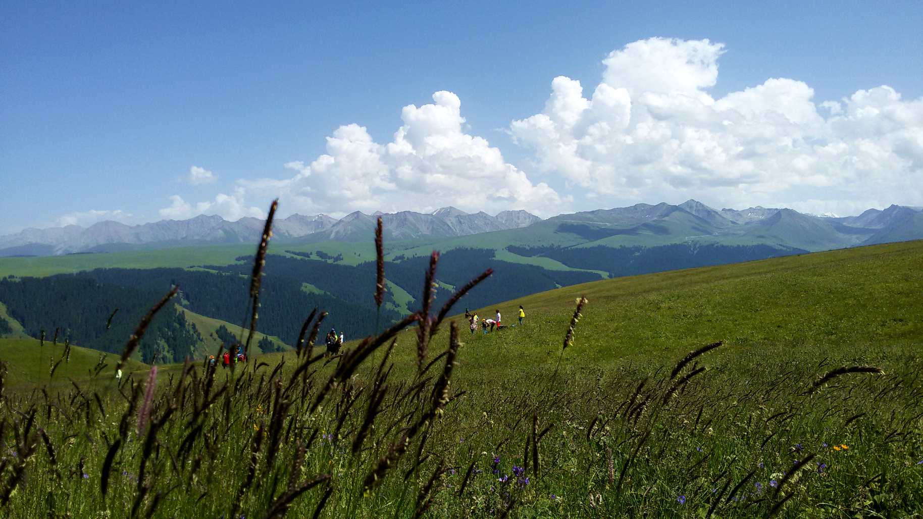 20150717_163214_.jpg