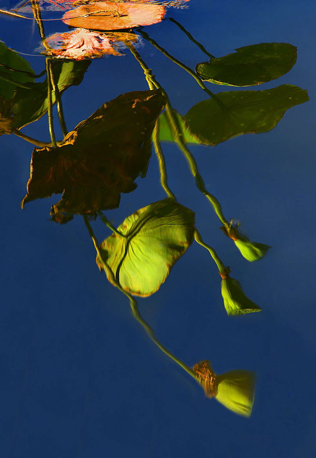AA A  7557.jpg
