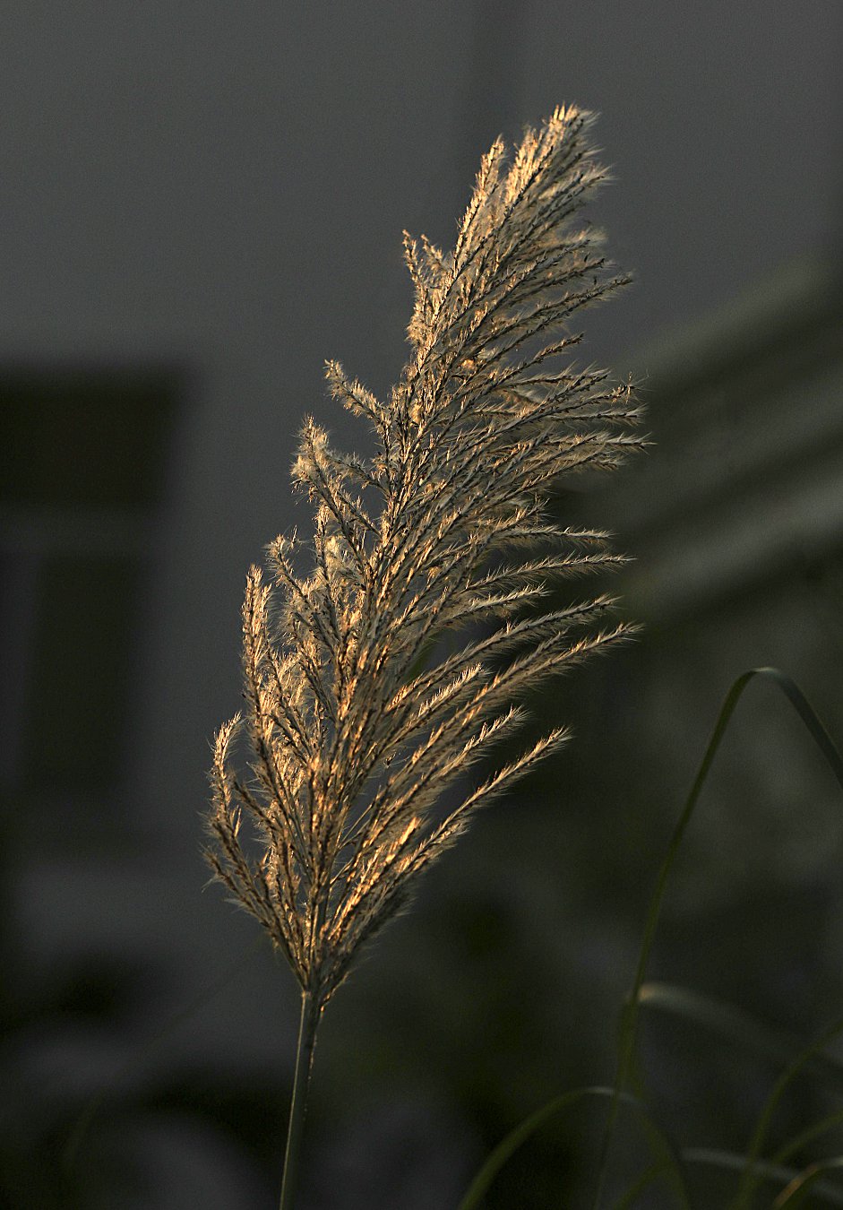 AA3Q2A0299q.jpg
