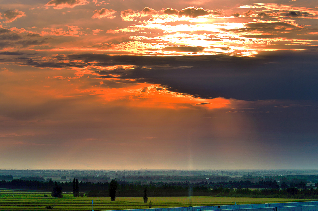 DSC_6690-1.jpg