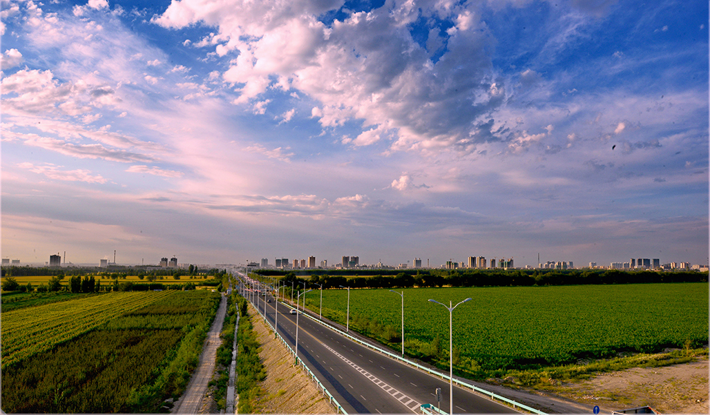 DSC_2703-1.jpg
