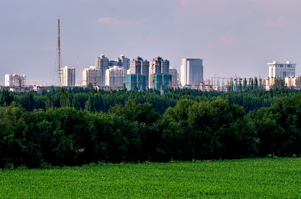 DSC_6646-1.jpg