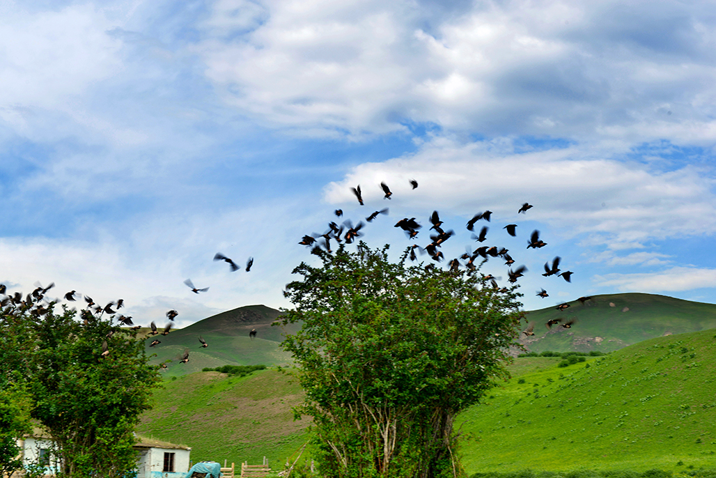 DSC_3203-1.jpg
