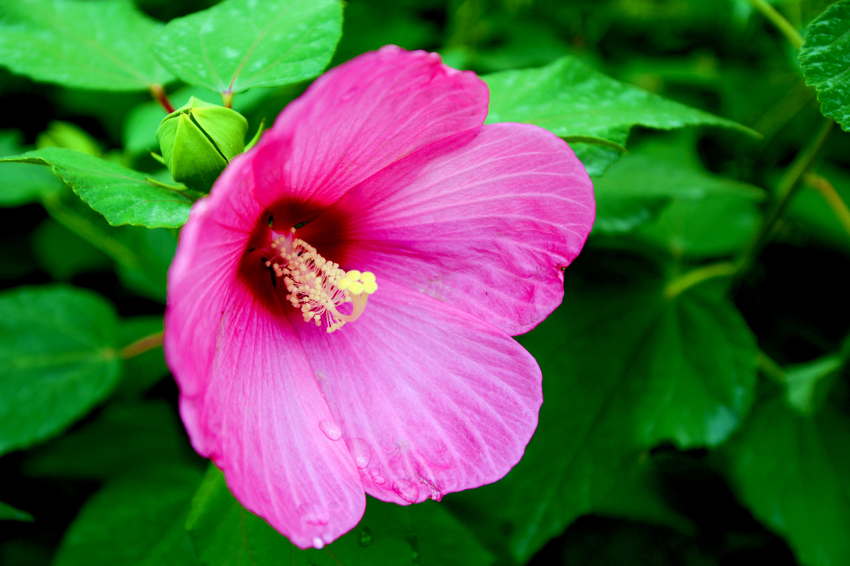 nEO_IMG_DSC_5443.jpg