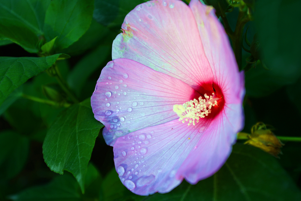 nEO_IMG_DSC_5448.jpg