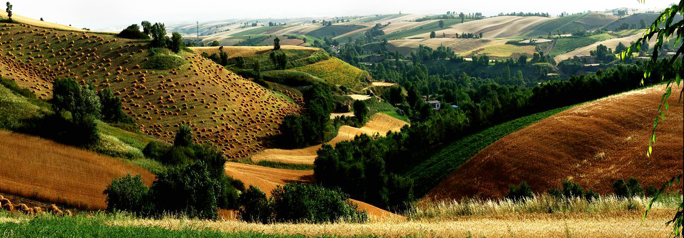 QQ9925 Panorama.jpg