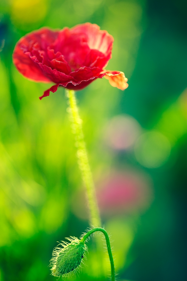 _U0A71131.jpg