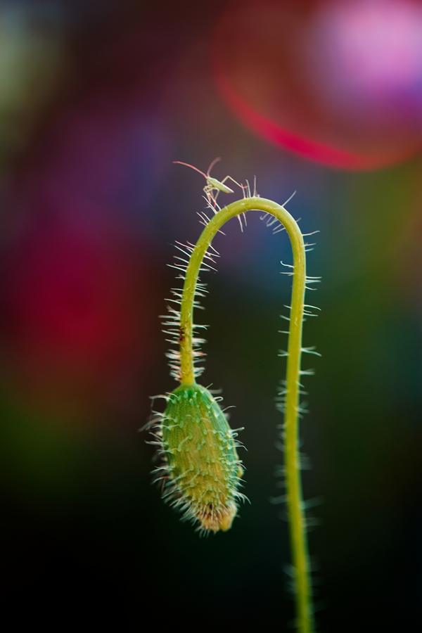 _U0A72231.jpg