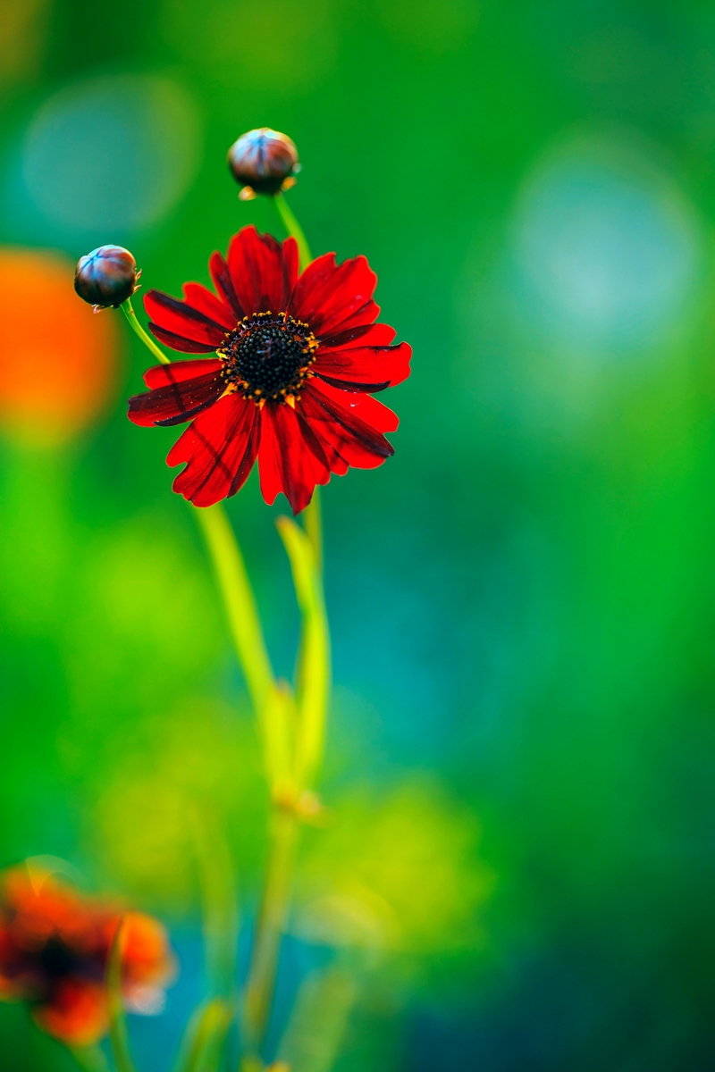 _U0A72851.jpg
