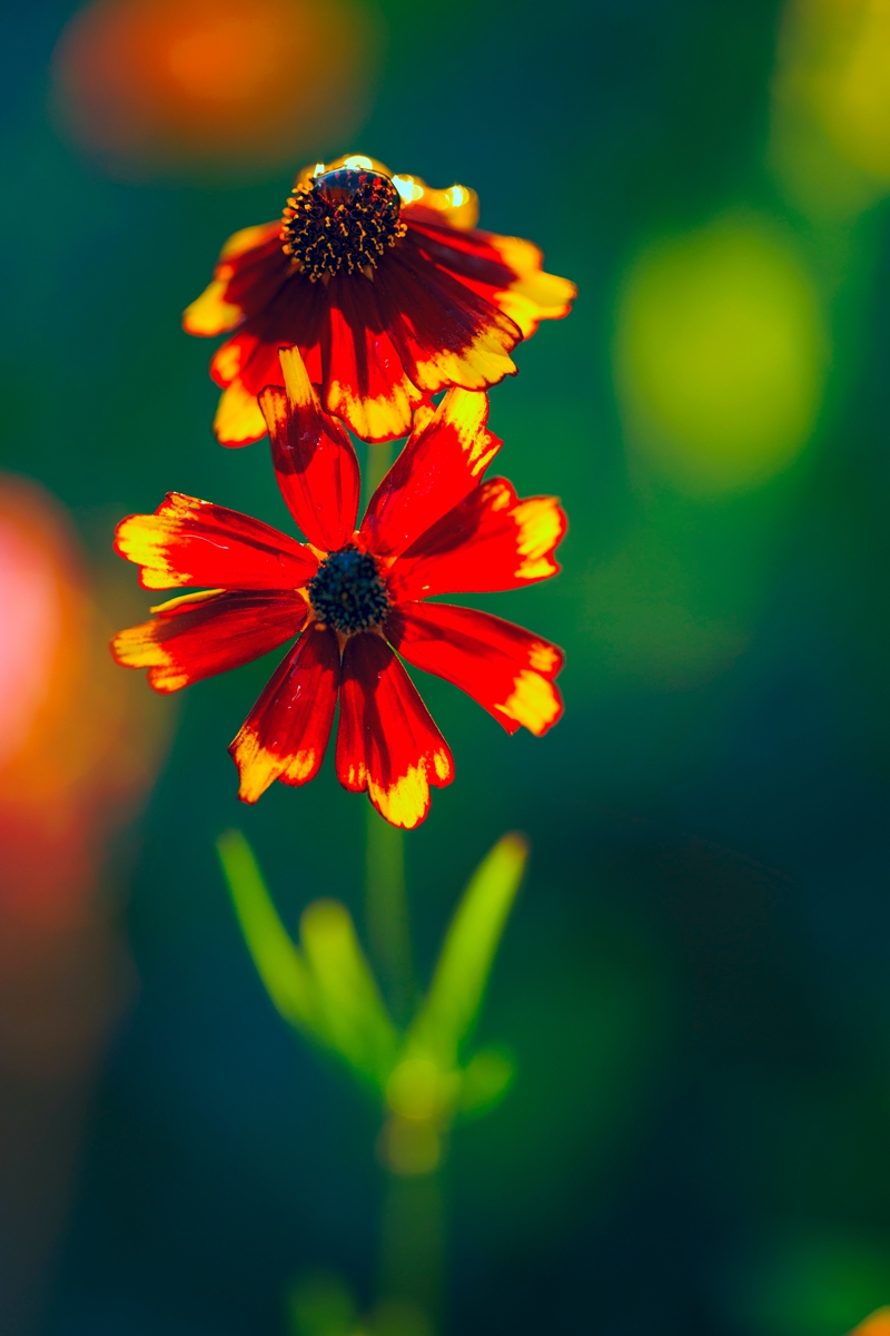 _U0A72881.jpg