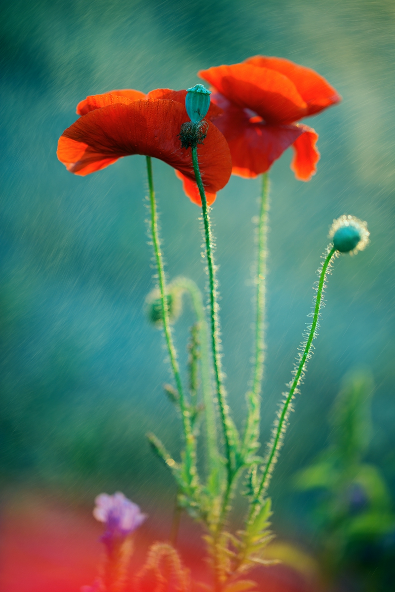 _U0A73081.jpg