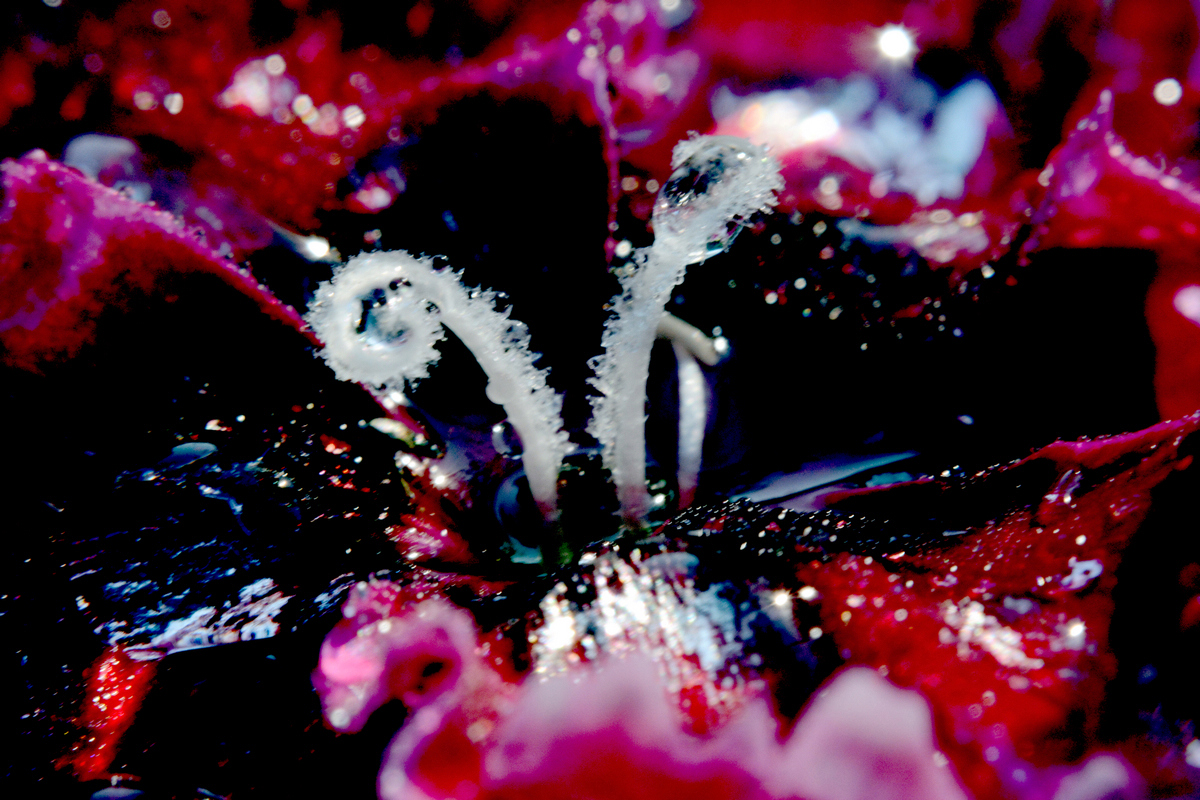 nEO_IMG_DSC_5617.jpg