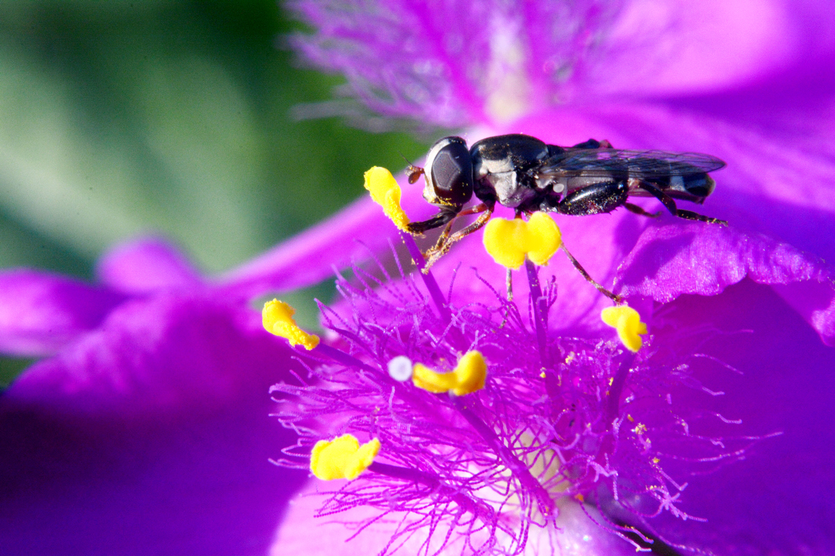 nEO_IMG_DSC_5644.jpg