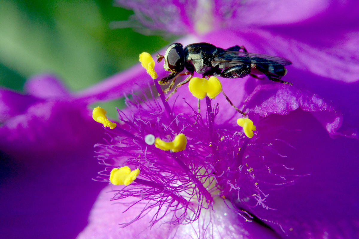 nEO_IMG_DSC_5645.jpg