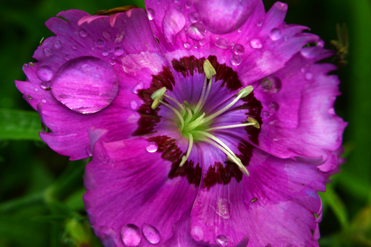 nEO_IMG__DSC0849.jpg