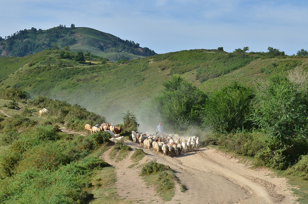 DSC_0143.JPG