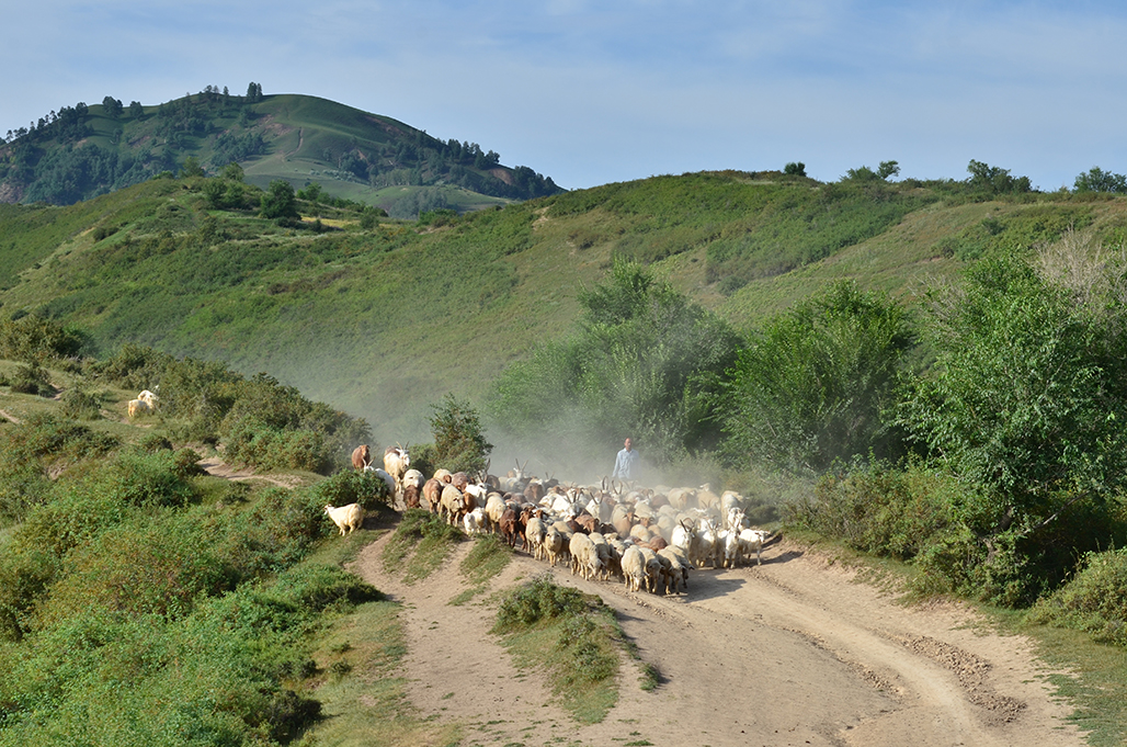 DSC_0144.JPG