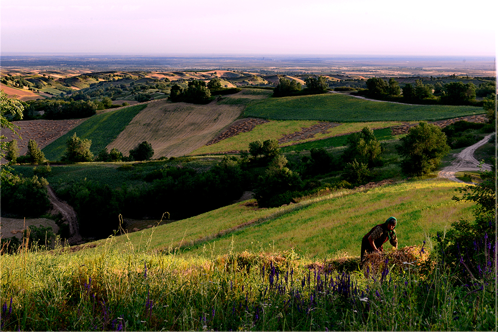 DSC_5194-1.jpg