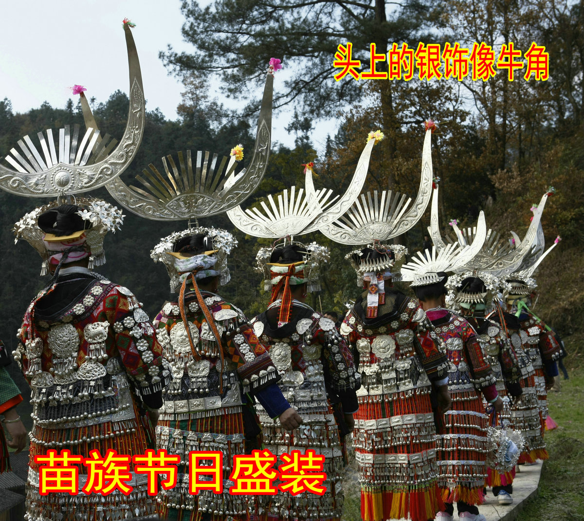 _C9J1358.JPG