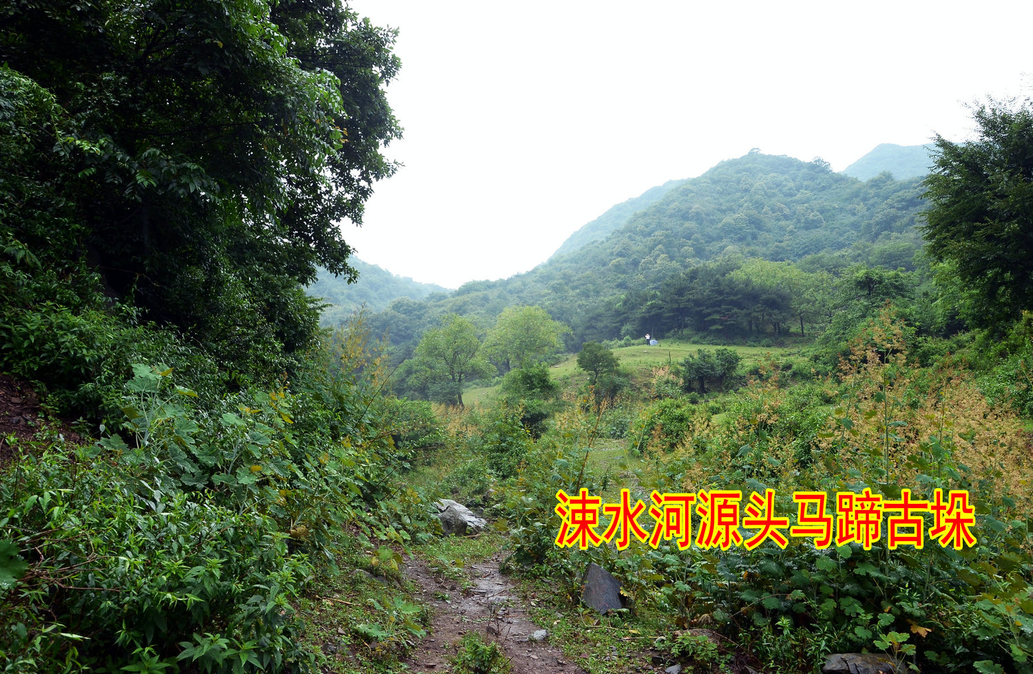 DSC_6899.JPG